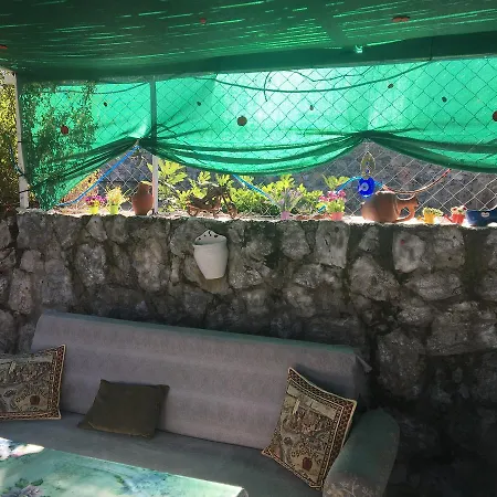 Sefa Oludeniz