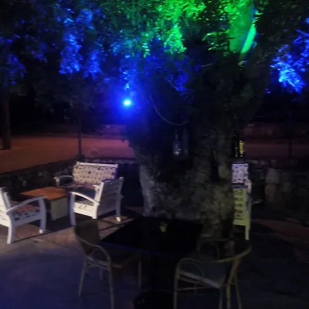 Sefa Oludeniz