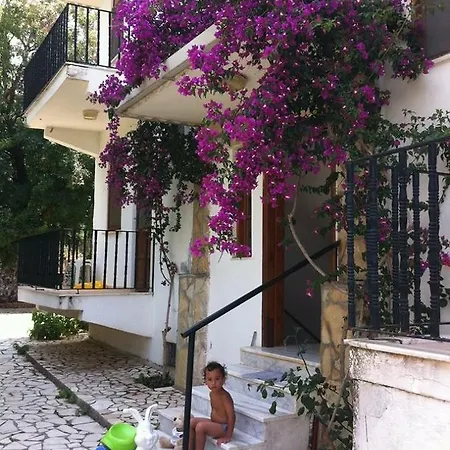 Sefa Hotel 3*